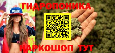 хмурый Шелехов