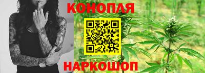 хмурый Шелехов
