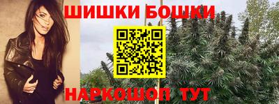 хмурый Шелехов